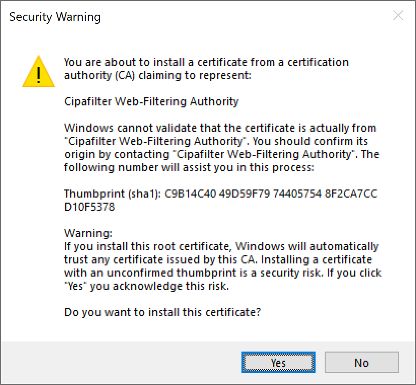 Windows Security Warning dialogue